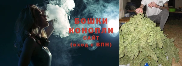 МДПВ Новозыбков