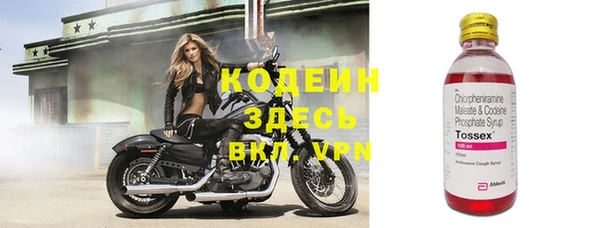прущие грибы Гусь-Хрустальный