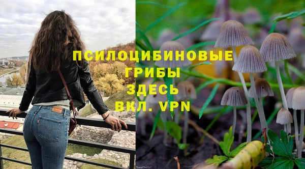 СК Гусиноозёрск
