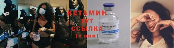 прущие грибы Гусь-Хрустальный