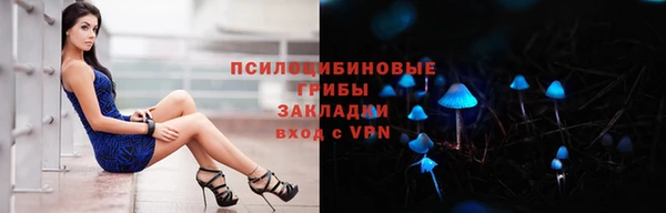 МДПВ Новозыбков